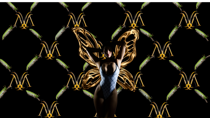 MORFOSIS SWINWEAR
