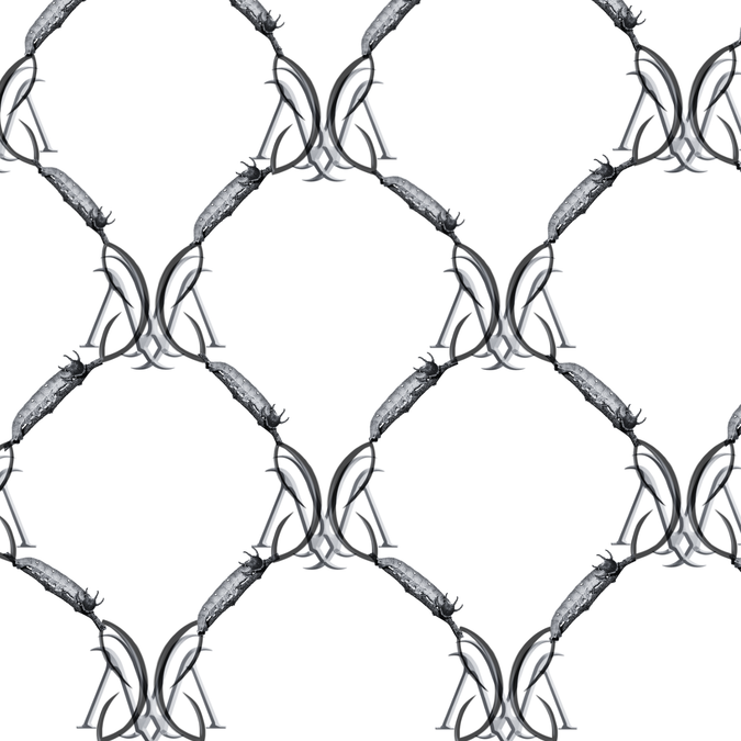 MAFERG Morfosis Collection Official Monogram
