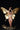 bikini goddes wings maferg 
